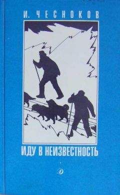 Читайте книги онлайн на Bookidrom.ru! Бесплатные книги в одном клике Игорь Чесноков - Иду в неизвестность