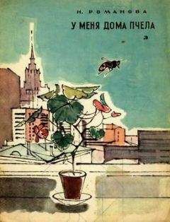 Читайте книги онлайн на Bookidrom.ru! Бесплатные книги в одном клике Наталья Романова - У меня дома пчела