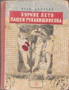 Илья Дворкин - Бурное лето Пашки Рукавишникова