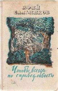 Читайте книги онлайн на Bookidrom.ru! Бесплатные книги в одном клике Юрий Сальников - Чтобы всегда по справедливости