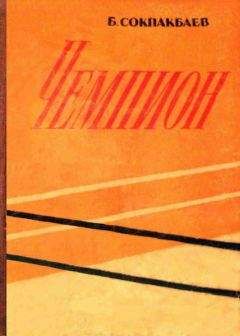 Читайте книги онлайн на Bookidrom.ru! Бесплатные книги в одном клике Бердибек Сокпакбаев - Чемпион