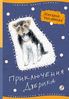 Читайте книги онлайн на Bookidrom.ru! Бесплатные книги в одном клике Наталья Нусинова - Приключения Джерика