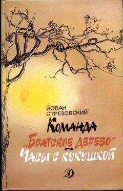 Читайте книги онлайн на Bookidrom.ru! Бесплатные книги в одном клике Йован Стрезовский - Команда «Братское дерево». Часы с кукушкой