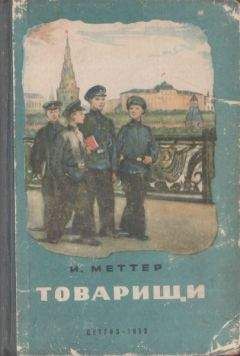 Читайте книги онлайн на Bookidrom.ru! Бесплатные книги в одном клике Израиль Меттер - Товарищи