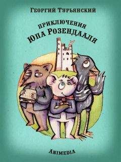 Читайте книги онлайн на Bookidrom.ru! Бесплатные книги в одном клике Георгий Турьянский - Приключения Юпа Розендааля. Сказка о смысле жизни для совместного чтения детьми и родителями