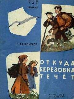 Читайте книги онлайн на Bookidrom.ru! Бесплатные книги в одном клике Галина Ганейзер - Откуда Берёзовка течёт