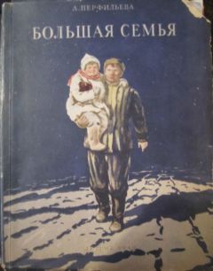 Читайте книги онлайн на Bookidrom.ru! Бесплатные книги в одном клике Анастасия Перфильева - Большая семья