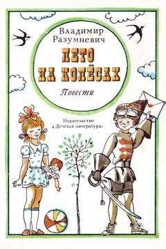 Читайте книги онлайн на Bookidrom.ru! Бесплатные книги в одном клике Владимир Разумневич - Лето на колёсах [Повести]