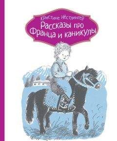 Читайте книги онлайн на Bookidrom.ru! Бесплатные книги в одном клике Кристине Нёстлингер - Рассказы про Франца и каникулы