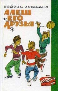 Читайте книги онлайн на Bookidrom.ru! Бесплатные книги в одном клике Войтех Стеклач - Алеш и его друзья