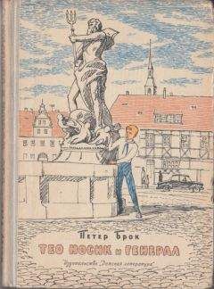 Читайте книги онлайн на Bookidrom.ru! Бесплатные книги в одном клике Петер Брок - Тео Носик и Генерал