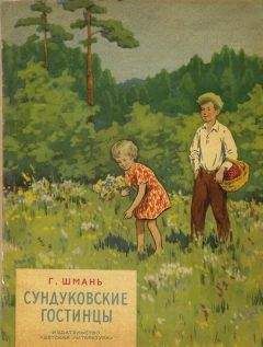 Читайте книги онлайн на Bookidrom.ru! Бесплатные книги в одном клике Геннадий Шмань - Сундуковские гостинцы