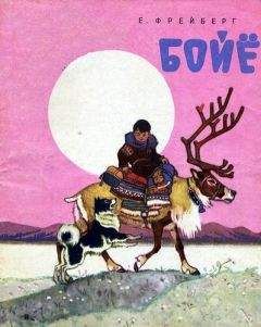Читайте книги онлайн на Bookidrom.ru! Бесплатные книги в одном клике Евгений Фрейберг - Бойё
