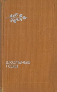 Читайте книги онлайн на Bookidrom.ru! Бесплатные книги в одном клике Елена Воронцова - Нейлоновая туника