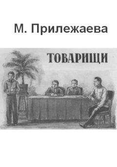 Читайте книги онлайн на Bookidrom.ru! Бесплатные книги в одном клике Мария Прилежаева - Товарищи