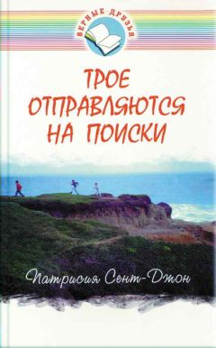 Читайте книги онлайн на Bookidrom.ru! Бесплатные книги в одном клике Патрисия Сент-Джон - Трое отправляются на поиски