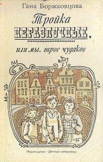 Читайте книги онлайн на Bookidrom.ru! Бесплатные книги в одном клике Гана Боржковцова - Тройка неразлучных, или Мы, трое чудаков