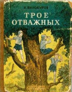 Читайте книги онлайн на Bookidrom.ru! Бесплатные книги в одном клике И. Винокуров - Трое отважных