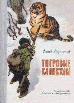 Читайте книги онлайн на Bookidrom.ru! Бесплатные книги в одном клике Сергей Медынский - Тигровые каникулы