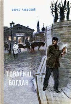 Читайте книги онлайн на Bookidrom.ru! Бесплатные книги в одном клике Борис Раевский - Товарищ Богдан