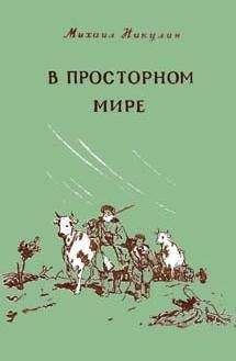 Читайте книги онлайн на Bookidrom.ru! Бесплатные книги в одном клике Михаил Никулин - В просторном мире