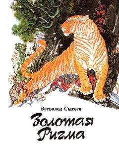 Читайте книги онлайн на Bookidrom.ru! Бесплатные книги в одном клике Всеволод Сысоев - Последний барс