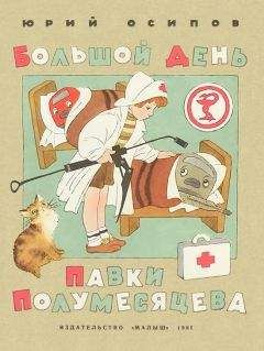 Читайте книги онлайн на Bookidrom.ru! Бесплатные книги в одном клике Юрий Осипов - Большой день Павки Полумесяцева