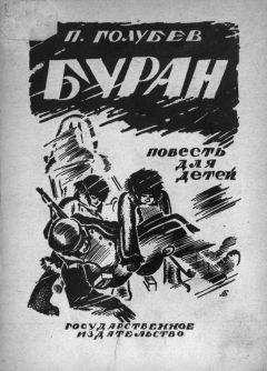 Читайте книги онлайн на Bookidrom.ru! Бесплатные книги в одном клике Павел Голубев - Буран