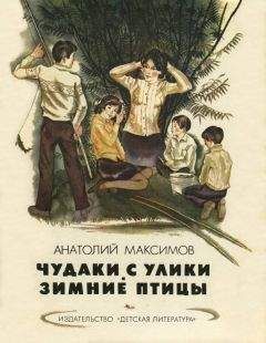 Читайте книги онлайн на Bookidrom.ru! Бесплатные книги в одном клике Анатолий Максимов - Чудаки с Улики. Зимние птицы