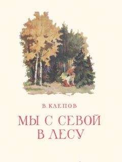 Читайте книги онлайн на Bookidrom.ru! Бесплатные книги в одном клике Василий Клепов - Мы с Севой в лесу