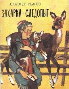 Читайте книги онлайн на Bookidrom.ru! Бесплатные книги в одном клике Александр Иванов - Захарка-следопыт