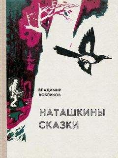 Читайте книги онлайн на Bookidrom.ru! Бесплатные книги в одном клике Владимир Кобликов - Берестяга