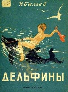 Читайте книги онлайн на Bookidrom.ru! Бесплатные книги в одном клике Николай Быльев - Дельфины