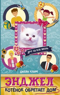 Читайте книги онлайн на Bookidrom.ru! Бесплатные книги в одном клике Джейн Кларк - Энджел. Котёнок обретает дом