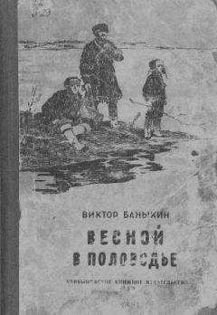Читайте книги онлайн на Bookidrom.ru! Бесплатные книги в одном клике Виктор Баныкин - Весной в половодье