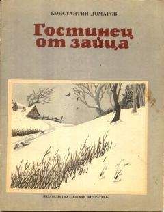 Читайте книги онлайн на Bookidrom.ru! Бесплатные книги в одном клике Константин Домаров - Гостинец от зайца (рассказы)