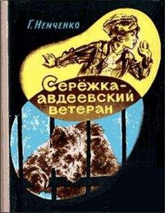 Читайте книги онлайн на Bookidrom.ru! Бесплатные книги в одном клике Гарий Немченко - Сережка — авдеевский ветеран