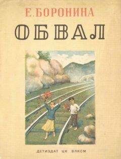 Читайте книги онлайн на Bookidrom.ru! Бесплатные книги в одном клике Екатерина Боронина - Обвал