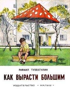 Читайте книги онлайн на Bookidrom.ru! Бесплатные книги в одном клике Рафаил Тухватулин - Как вырасти большим