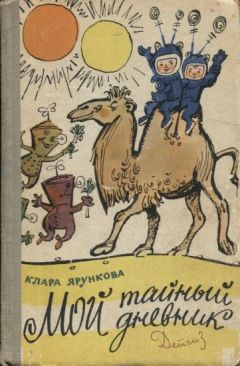 Читайте книги онлайн на Bookidrom.ru! Бесплатные книги в одном клике Клара Ярункова - Мой тайный дневник