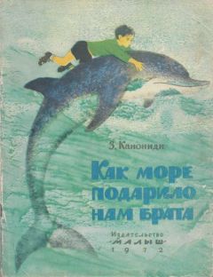 Читайте книги онлайн на Bookidrom.ru! Бесплатные книги в одном клике Зинаида Канониди - Как море подарило нам брата