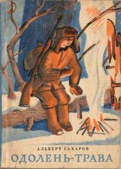 Читайте книги онлайн на Bookidrom.ru! Бесплатные книги в одном клике Альберт Сахаров - Одолень-трава