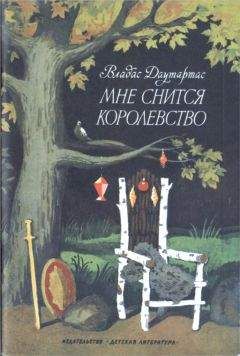 Читайте книги онлайн на Bookidrom.ru! Бесплатные книги в одном клике Владас Даутартас - Мне снится королевство