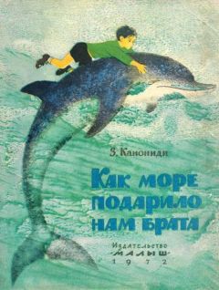 Читайте книги онлайн на Bookidrom.ru! Бесплатные книги в одном клике Зинаида Канониди - Как море подарило нам брата