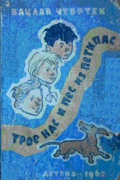 Читайте книги онлайн на Bookidrom.ru! Бесплатные книги в одном клике Вацлав Чтвртек - Трое нас и пёс из Петипас