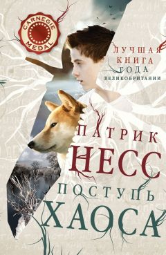 Читайте книги онлайн на Bookidrom.ru! Бесплатные книги в одном клике Патрик Несс - Поступь хаоса