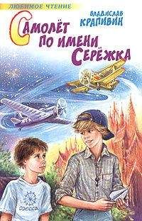 Читайте книги онлайн на Bookidrom.ru! Бесплатные книги в одном клике Владислав Крапивин - Самолет по имени Серёжка