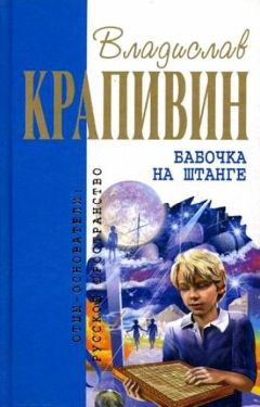 Читайте книги онлайн на Bookidrom.ru! Бесплатные книги в одном клике Владислав Крапивин - Бабочка на штанге