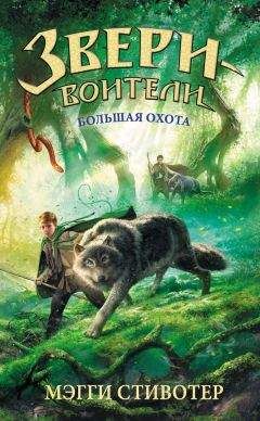 Читайте книги онлайн на Bookidrom.ru! Бесплатные книги в одном клике Мэгги Стивотер - Большая охота