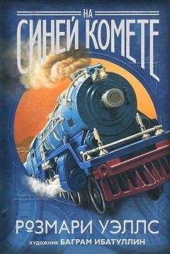Читайте книги онлайн на Bookidrom.ru! Бесплатные книги в одном клике Розмари Уэллс - На синей комете